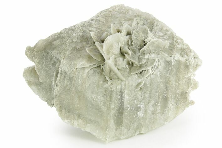 Selenite Crystal - Box Elder County, Utah #369275